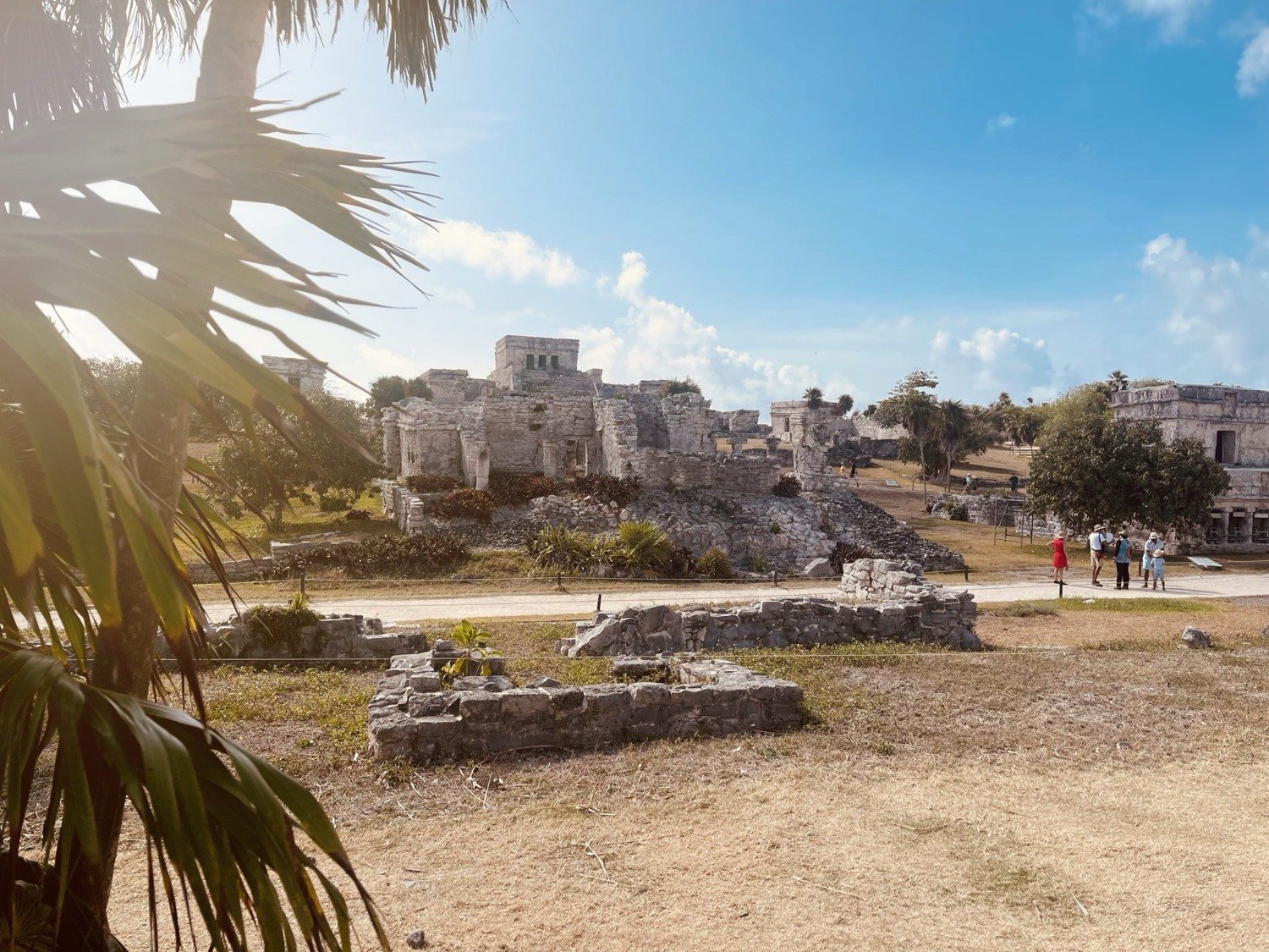 Stone ruins on the coast at Tulum framed by palm fronds